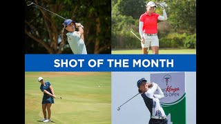 Shot of the Month | February