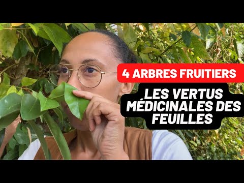 Vidéo: Faits sur la cerise de Jérusalem - Comment faire pousser une plante d'intérieur de cerise de Jérusalem