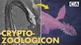 The Fascinating World of Cryptozoology: Exploring Mysterious Creatures ile ilgili video