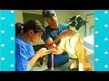 Best Funny Dog Reaction When Injected|| Funny Baby and Pet