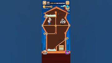 Home pin game Level 355