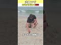 昔から伝わるサバイバル技術