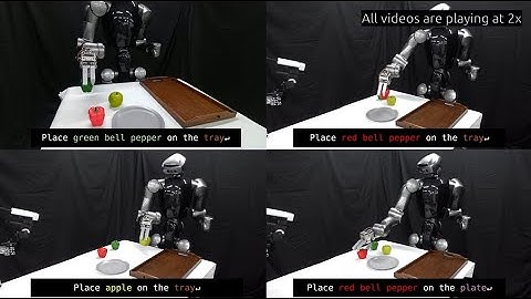 Language Conditioned Autonomous Pick-and-Place Demonstration by Humanoid Robot Torobo