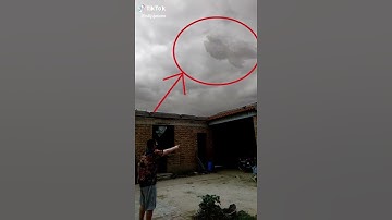 Cá chép hoá rồng là có thật mấy bạn anh!