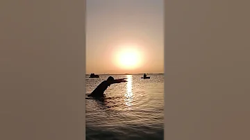 Best Beaches To Visit Al Dar Islands In Bahrain Youtubeshorts Viral Treanding Youtube 