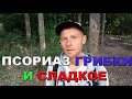 Псориаз это грибок!? | Влияние сладкой пищи на кожные высыпания