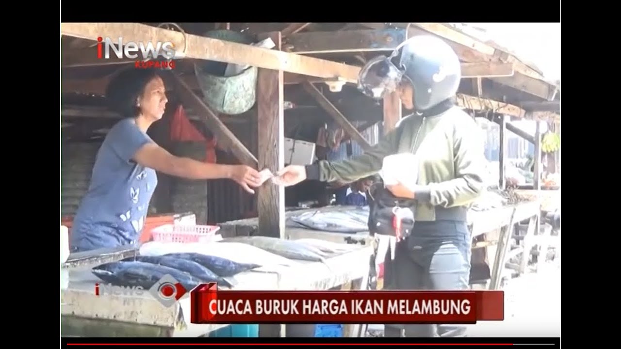 iNews NTT - Cuaca Buruk, Harga Ikan di Kota Kupang ...