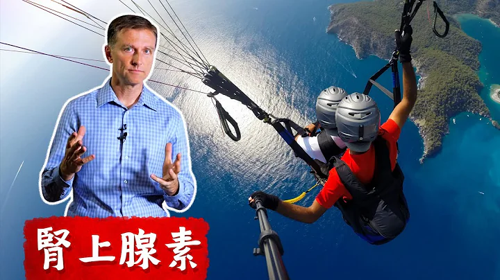什麼情緒刺激腎上腺素? 柏格醫生 Dr Berg - 天天要聞