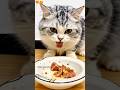 Eating Cat😺😋 #shorts #cute #cat