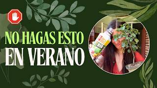 5 errores que están MATANDO a tus plantas este verano 🚫💧