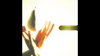 SUGAR PLANT - 'a rain discretion'