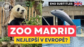 ZOO Madrid - nejlepší zoologická zahrada v Evropě? ENG subtitles