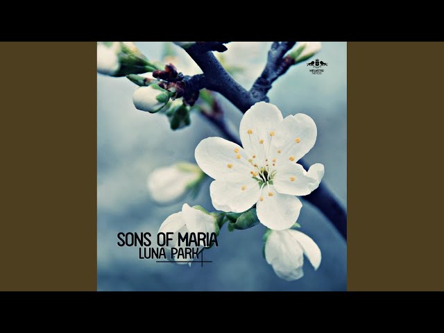 Sons of Maria - Searching for Love