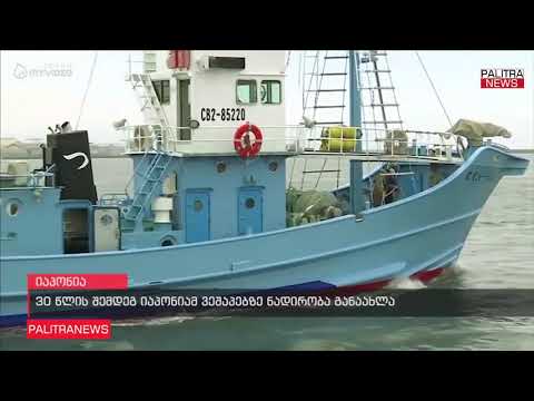 30 წლის შემდეგ იაპონიამ ვეშაპებზე ნადირობა განაახლა