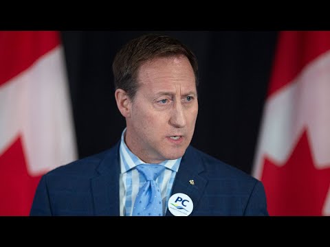 MacKay calls Trudeau's trip to Africa a "vanity project"