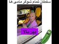 سلطان تمام شوگرد مامی ها 