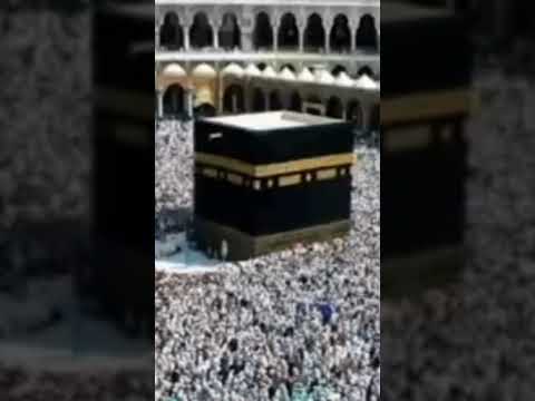 حج مبرور وسعي مشكور