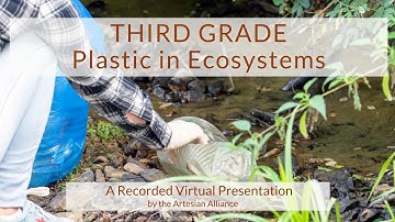 Third Grade Plastic in EcoSystems
