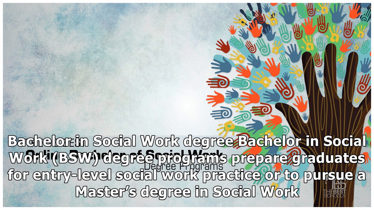 The 10 Best Online Bachelor of Social Work Degree Programs | The Best Schools