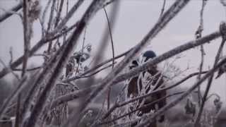 Охота на уток осенью (Hunting). Охота на уток осенью (Hunting).