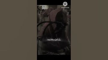 ووصينا الانسان بوالديه احسانا 💮سورة الاحقاف 💮الشيخ محمد اللحيدان