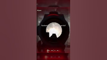 Call of Duty 4 - Best Killcams #shorts