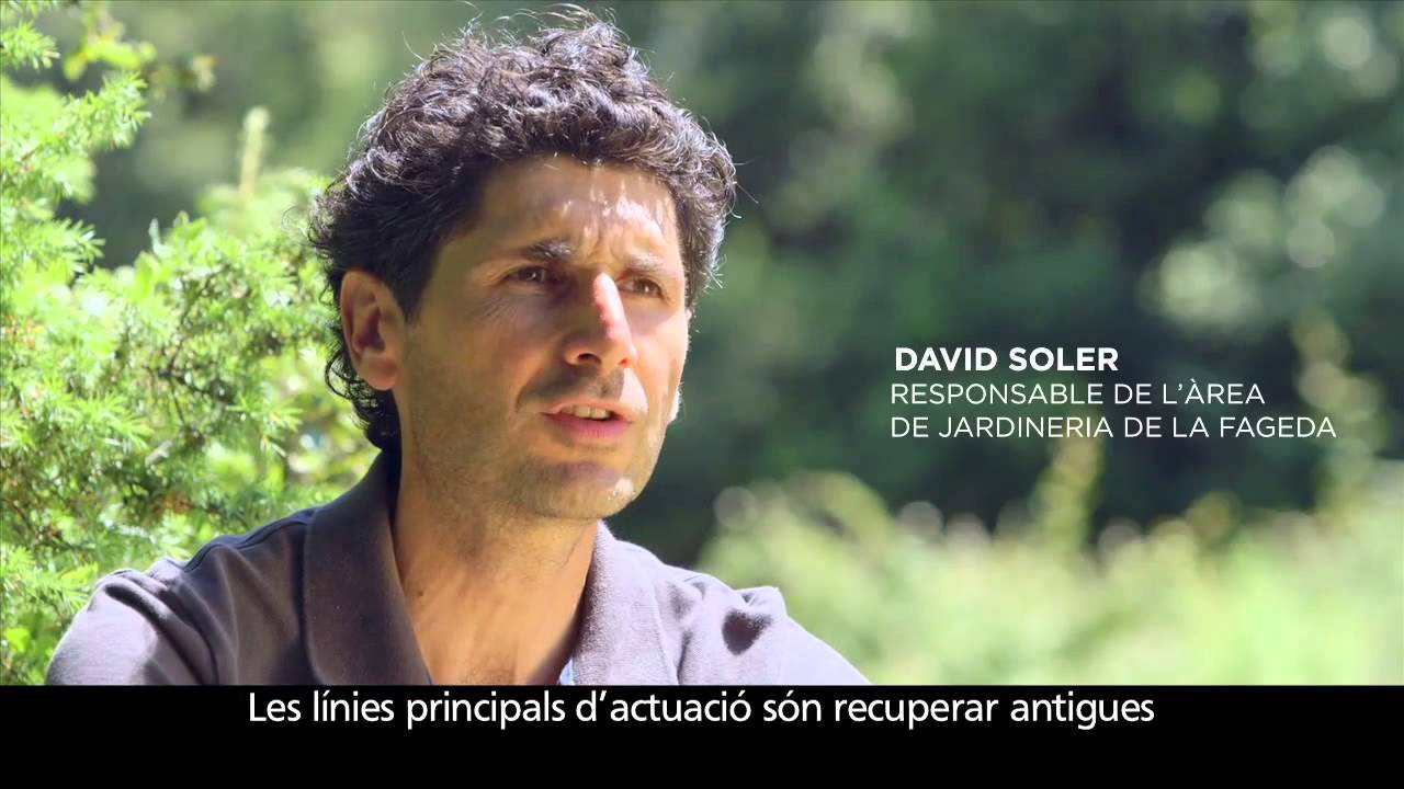 kxan traffic Amb tu, protegim el medi ambient. Obra Social 