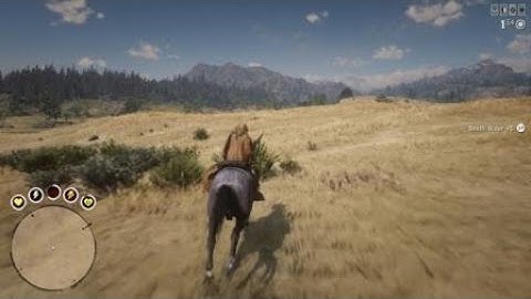 Red Dead Redemption 2-When griefing goes horribly wrong