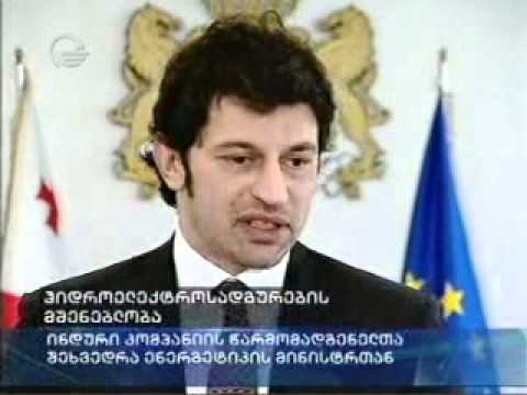 შეხვედარა უცხოელ ინვესტორებთან