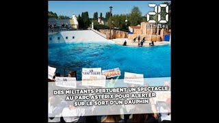 Des militants perturbent un spectacle au Parc Astérix pour «alerter» sur le sort d'un dauphin