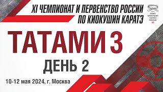 XI Чемпионат и Первенство России по Киокушин Каратэ СККР 2024. Татами 3. День 2