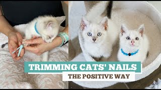 Trimming cats' nails the positive way