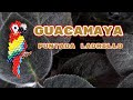 GUACAMAYA/PAJARO MIYUKI/LORO MOSTACILLA SIN TELAR /Puntada Ladrillo/BRICK STITCH [ PASO A PASO]