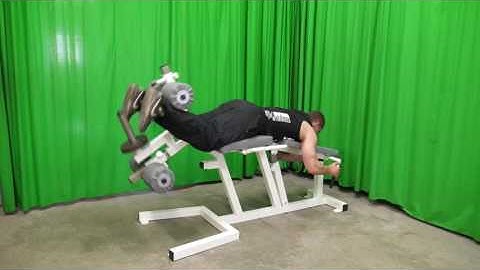 Leg Extension - Leg Curl Machine (M8XX)