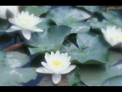 اغنية اهل الهوى للفنان القدير عادل البشي ر 