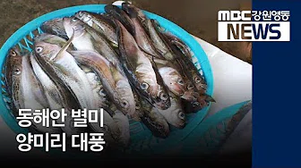 시사모조림