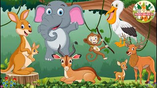 Wild Animal Sounds: Elephant, Kangaroo, Sika Deer, Gazelle, Stork, Boar   Animal Videos