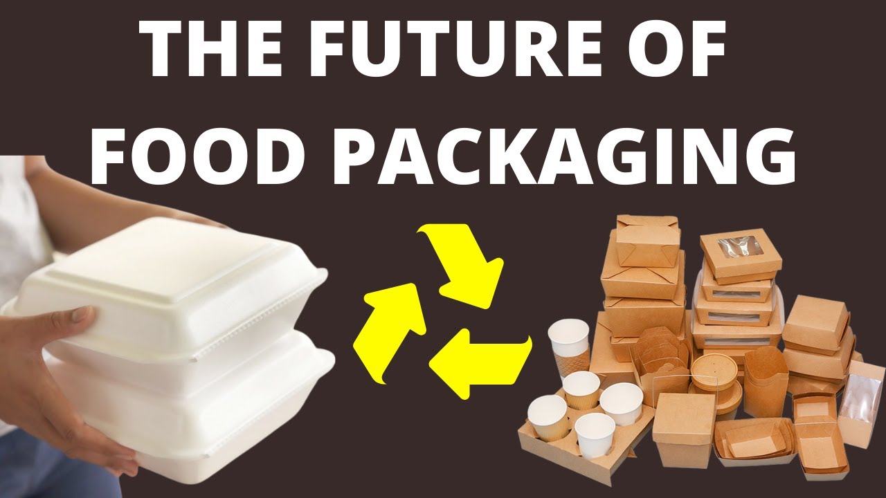 6 Sustainable Food Packaging Companies to Support in 2023