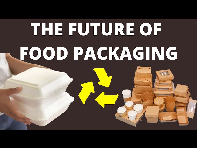 10 Sustainable Food Packaging Companies To Support (2022) 