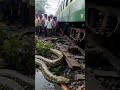 Giant Snake found in near Village #viralshorts2026