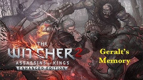 The WITCHER 2 - GERALT