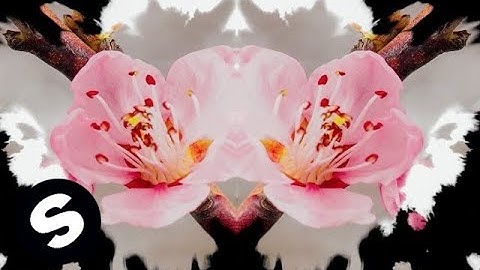 EDX - Bloom (Official Music Video)