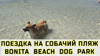 Поездка на собачий пляж Bonita Beach Dog Park.