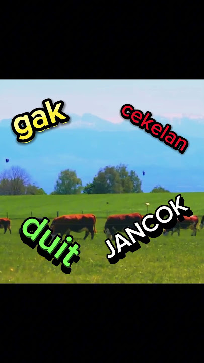 Januari J-nya apa? #komedi #hiburan