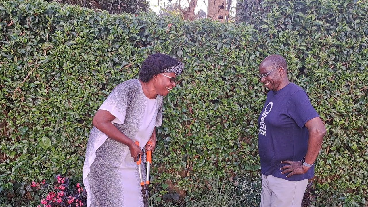 Say No!!! to Grey Hair Divorce | Life After Retirement