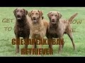 Get to Know the Chesapeake Bay Retriever の動画、YouTube動画。