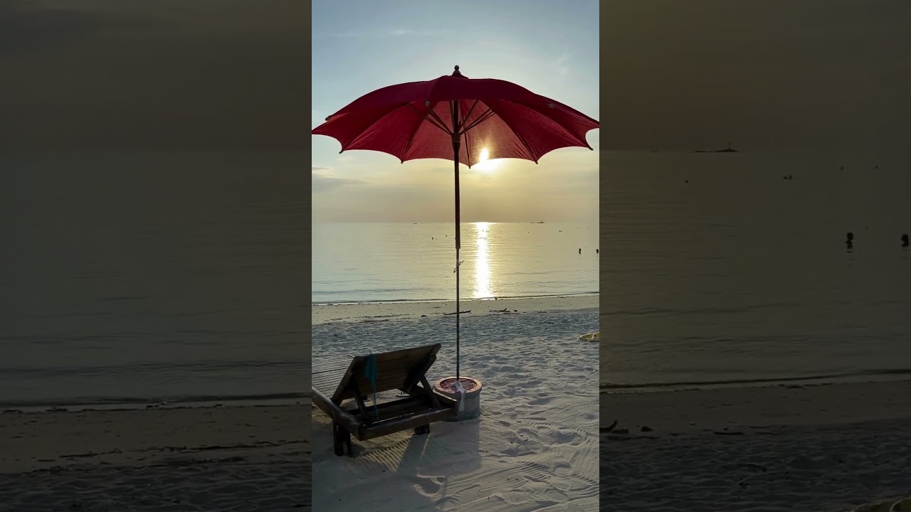 How to Choose the Best Outdoor Umbrella for Your Patio or Garden 