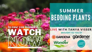 Hello sunshine! that???s the cheerful greeting you get from summer
bedding plants, also known as annuals, and what better tonic is there
than a bed, border or ...