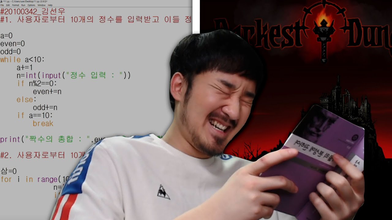 선바스트리밍 20201202 Studywithoutme 다키스트던전찍먹