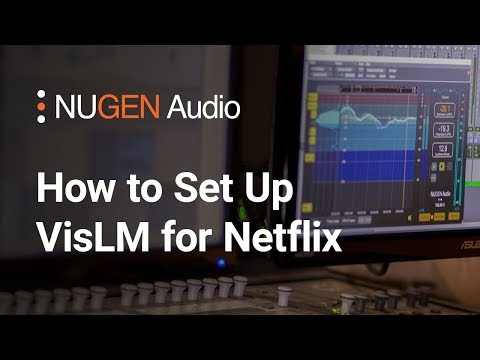 How to Set Up VisLM for Netflix